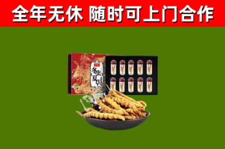 开鲁县回收冬虫夏草价格